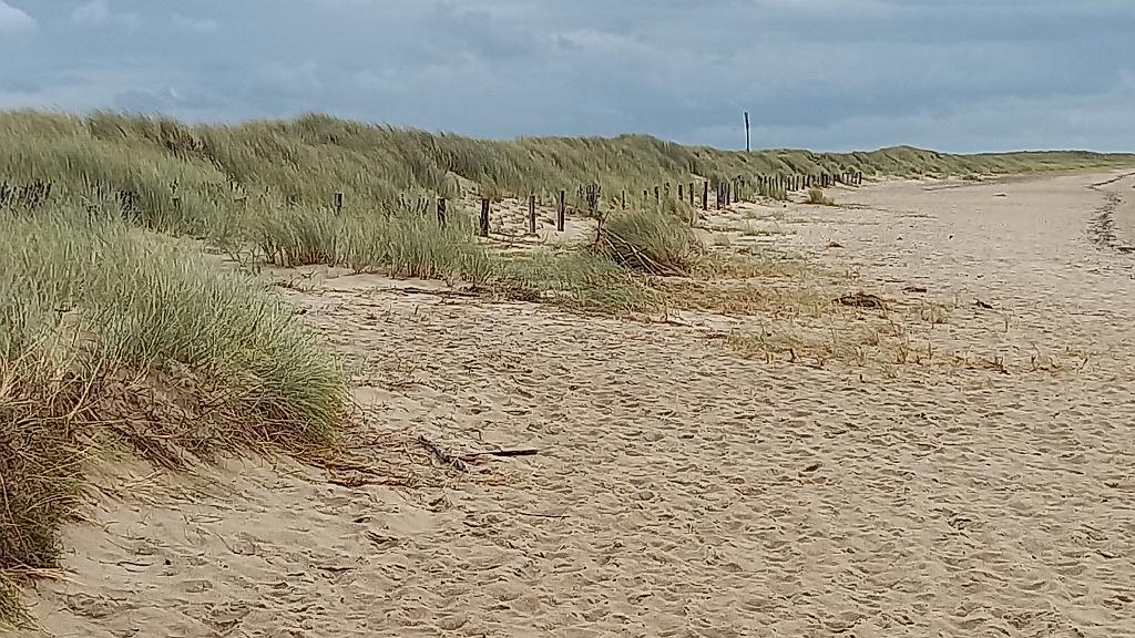 Sylt (180)
